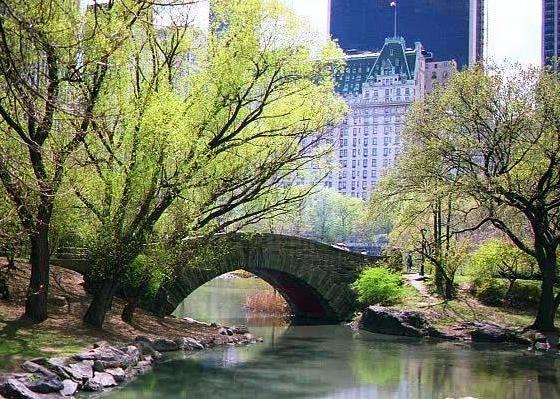 Comfort Inn Chelsea New York Exterior foto
